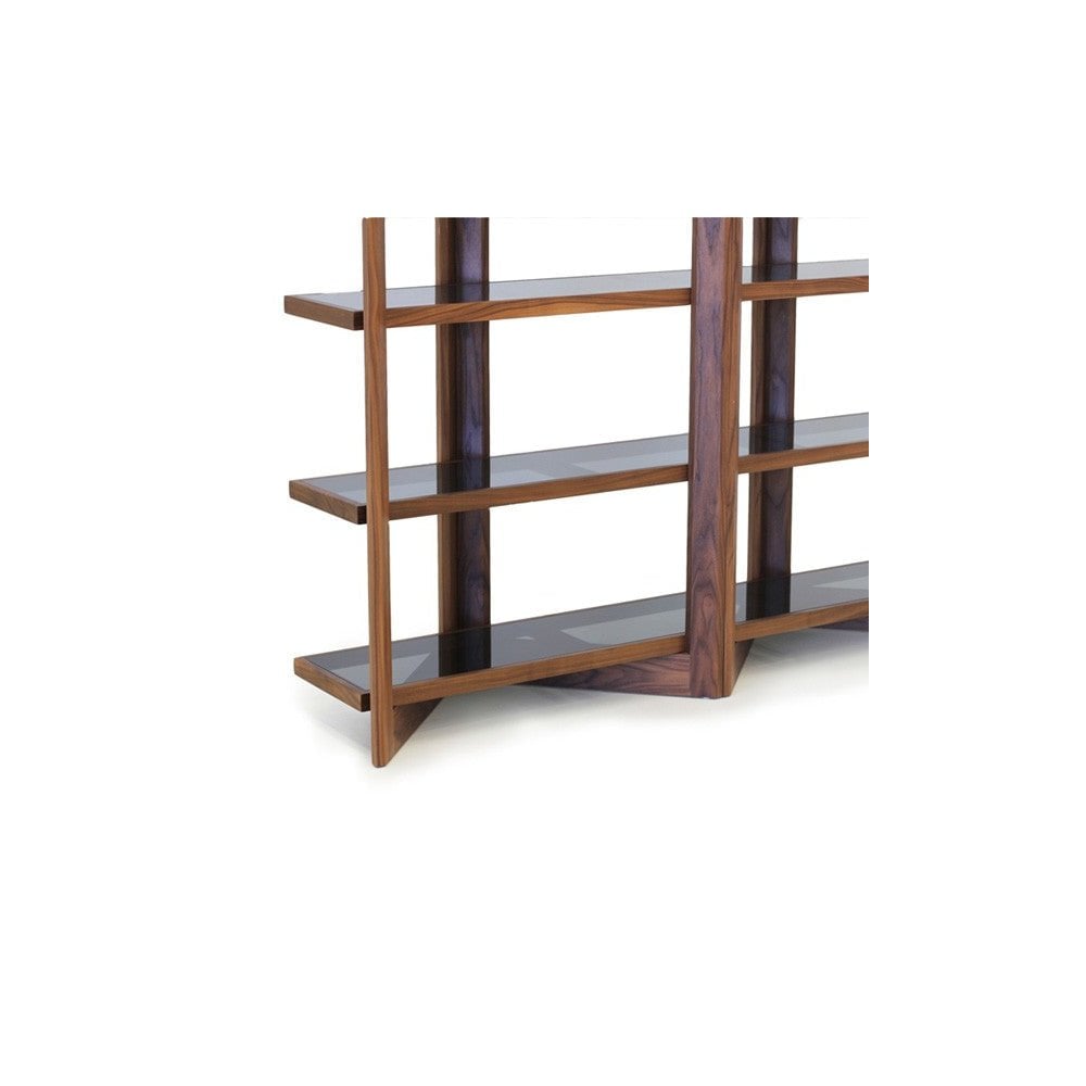 Blitz Book Shelf by Tommy Franks