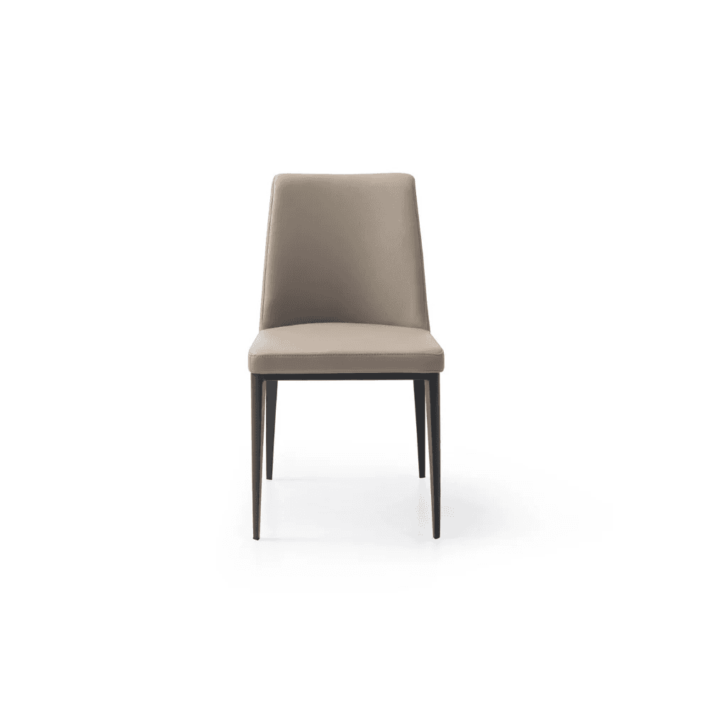 Medici Buffalo Sand Set of 2 Dining Chairs by Tommy Franks