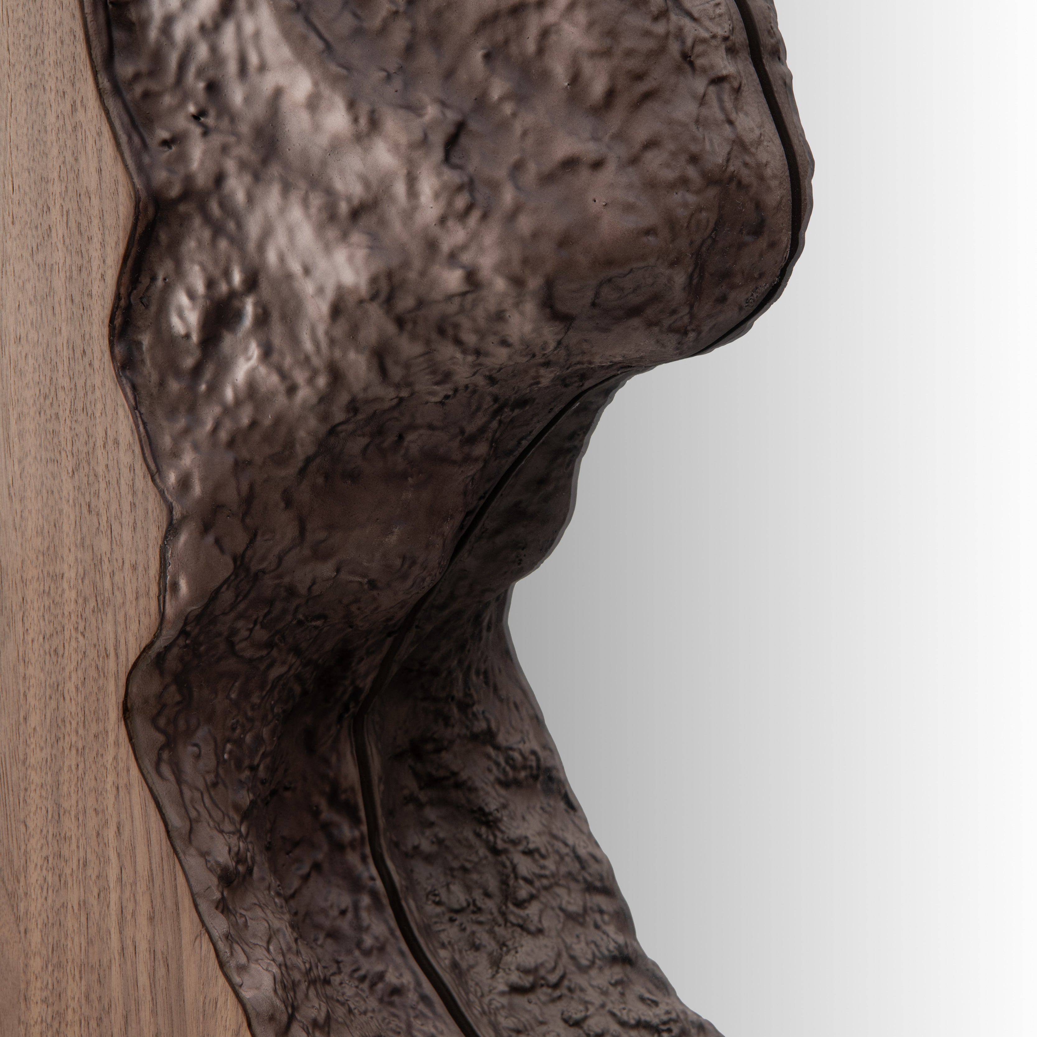 Forrest Walnut Mirror by Tommy Franks