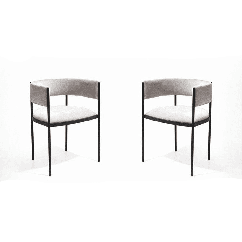 Envie I Grey Beige Dining Chairs Set of 2 by Tommy Franks