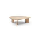 Vasto White Wash Oak Coffee Table by Tommy Franks