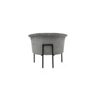 Senso Grey Lounge Chair by Tommy Franks