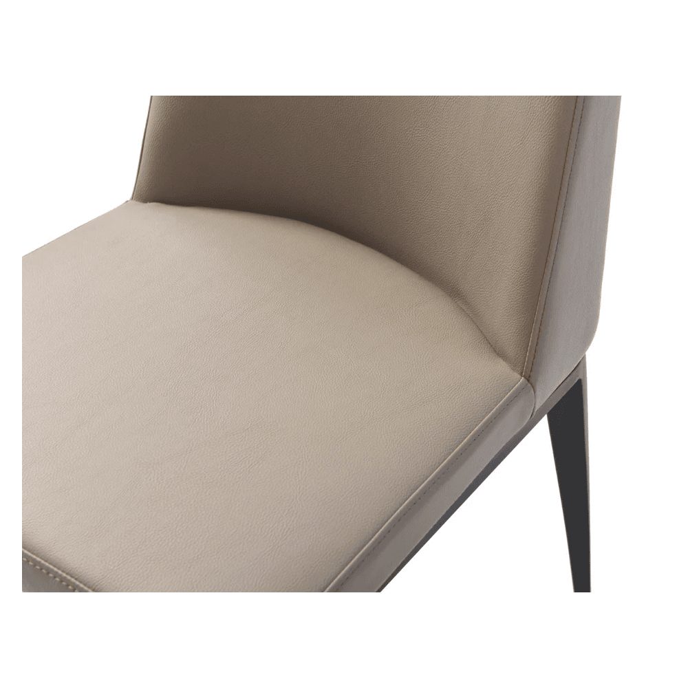 Medici Buffalo Sand Set of 2 Dining Chairs by Tommy Franks