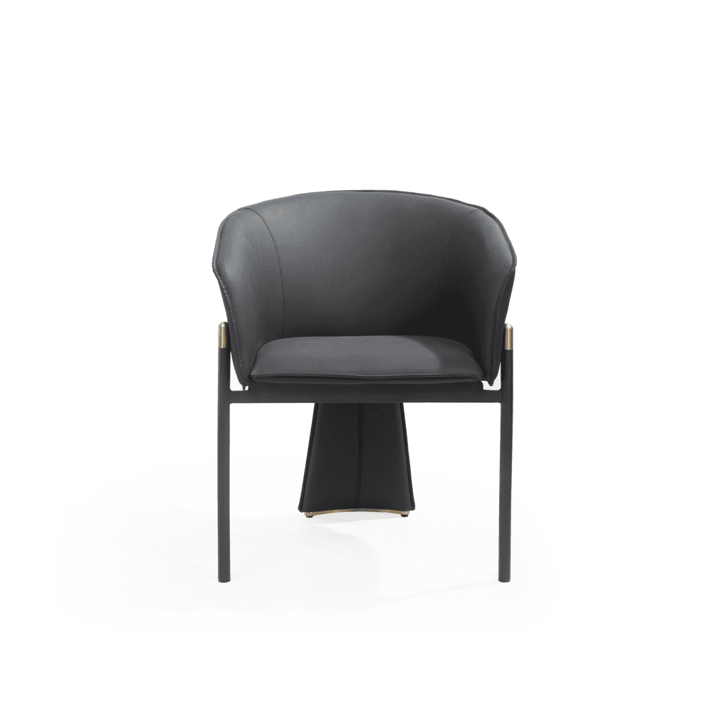 Felipo Mustang Black Dining Chairs Set of 2 by Tommy Franks