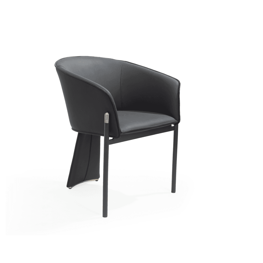 Felipo Mustang Black Dining Chairs Set of 2 by Tommy Franks